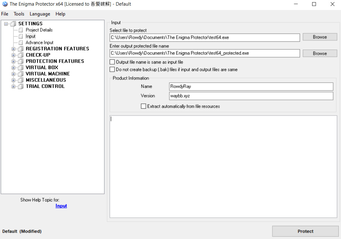 The Enigma Protector
