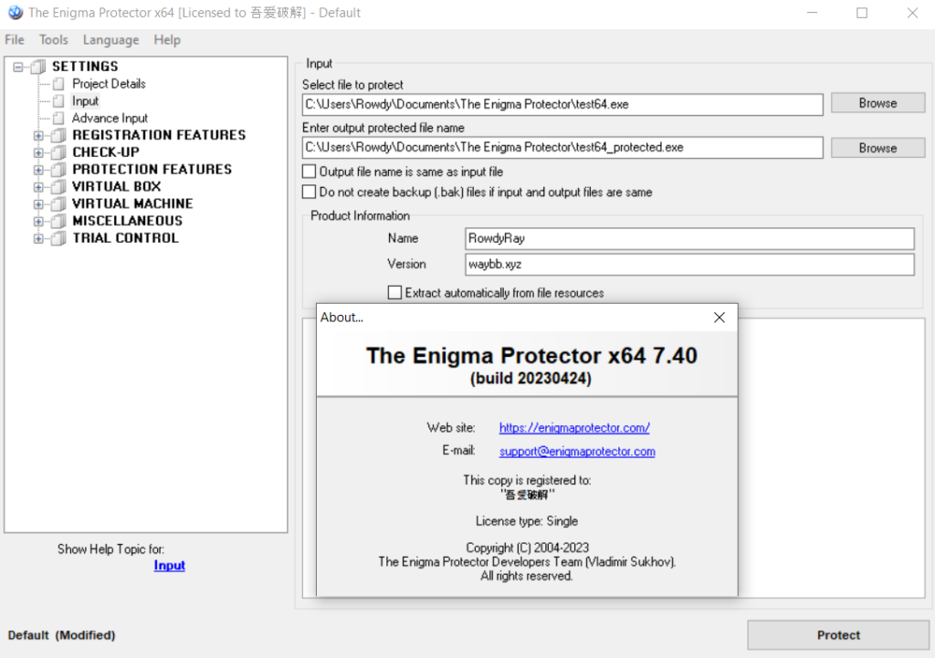 The Enigma Protector