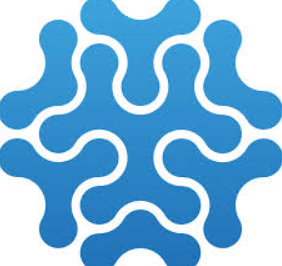 Jigsaw 2.5 (Family Patterns And Research)