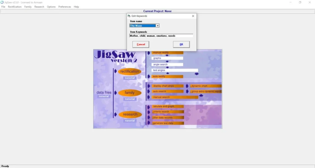 Jigsaw 2.5 (Family Patterns And Research)